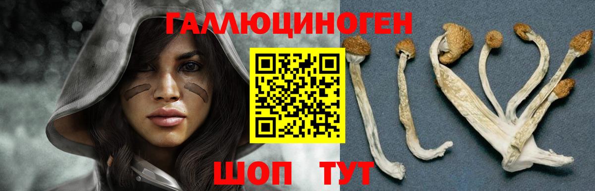 Галлюциногенные грибы прущие грибы Благовещенск